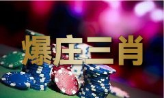 精准6码中侍九龙水心